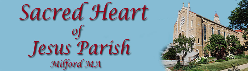 Sacred Heart of Jesus Parish Blog